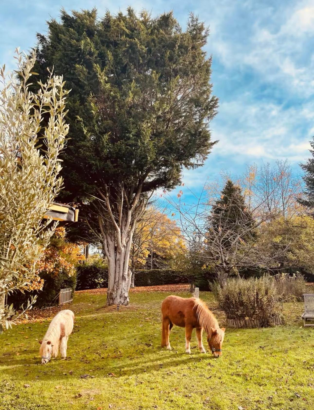 Villa Le loft Normand avec piscine chauffée Saint-Antonin-de-Sommaire Esterno foto